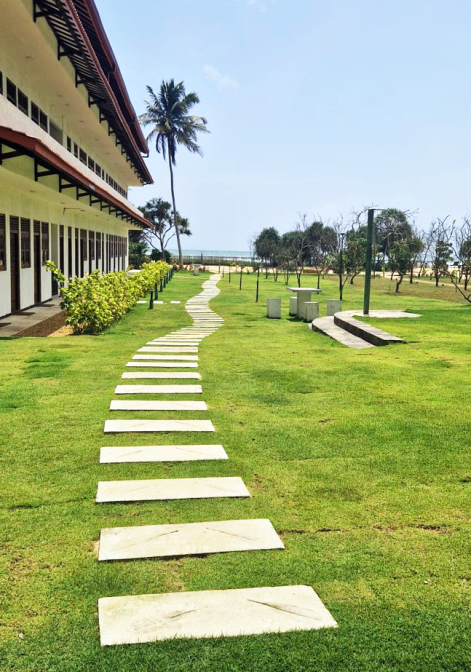 garden