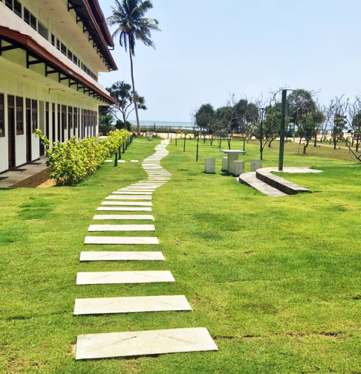 garden